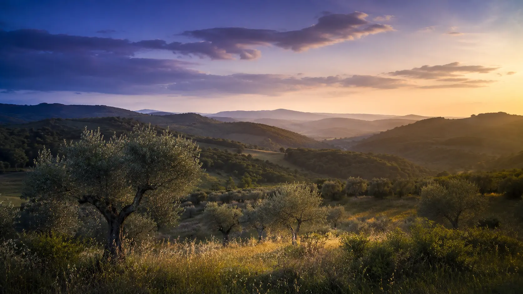 Paesaggio agricolo e boschivo ispirato alle colline del Lazio